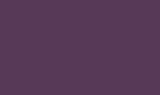 centrepimentsinstituts016007.gif